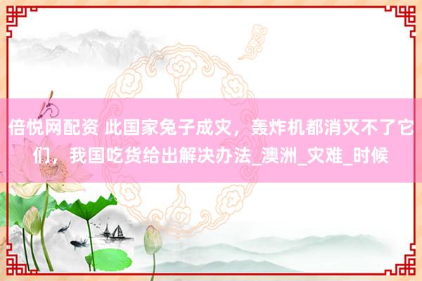 倍悦网配资 此国家兔子成灾，轰炸机都消灭不了它们，我国吃货给出解决办法_澳洲_灾难_时候