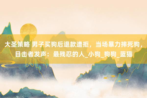 大圣策略 男子买狗后退款遭拒，当场暴力摔死狗，目击者发声：最残忍的人_小狗_狗狗_蓝猫