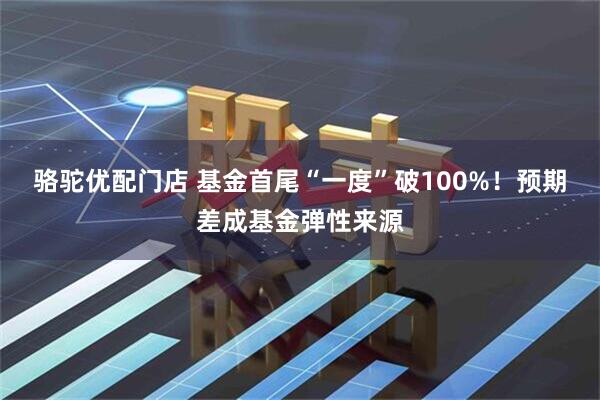 骆驼优配门店 基金首尾“一度”破100%！预期差成基金弹性来源