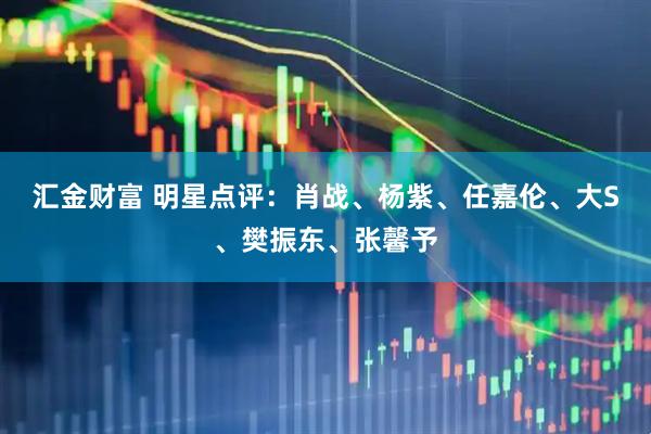 汇金财富 明星点评：肖战、杨紫、任嘉伦、大S、樊振东、张馨予