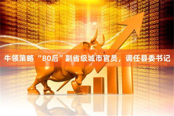 牛领策略 “80后”副省级城市官员，调任县委书记
