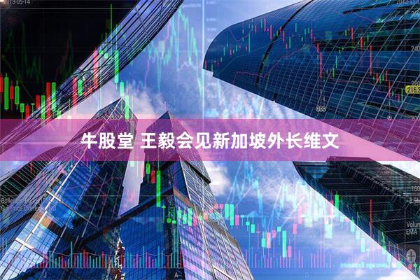 牛股堂 王毅会见新加坡外长维文