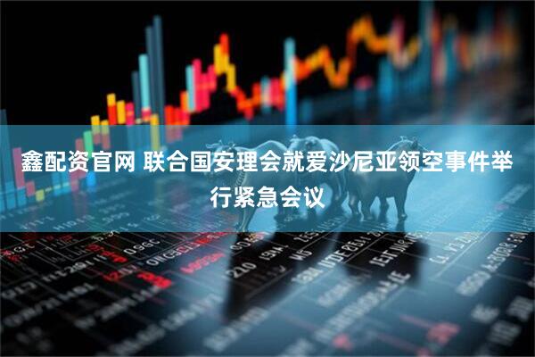 鑫配资官网 联合国安理会就爱沙尼亚领空事件举行紧急会议
