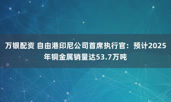 万银配资 自由港印尼公司首席执行官：预计2025年铜金属销量达53.7万吨