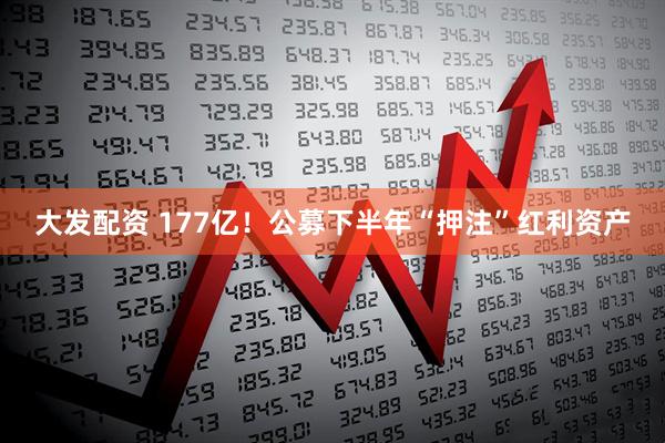 大发配资 177亿！公募下半年“押注”红利资产