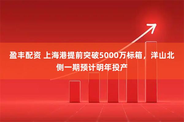 盈丰配资 上海港提前突破5000万标箱,洋山北侧一期预计明年投产